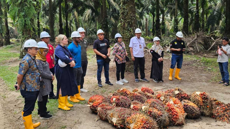 USA Expanded Palm Oil Support Program through ILO in the Regency of Simalungun