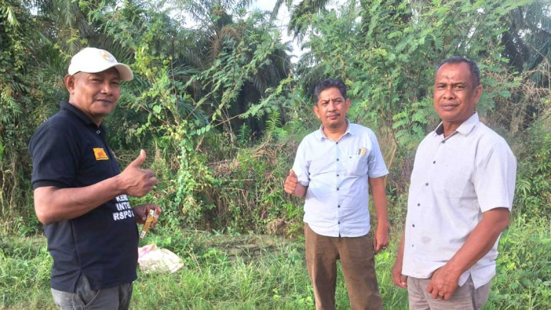 Independent Smallholders in Aceh: Support the President to Firmly Sue Palm Oil Violation