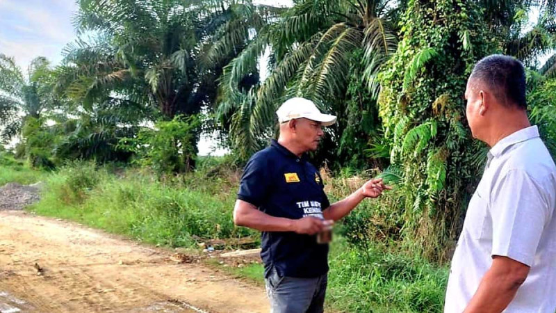 Thousand Hectares of Abandoned Areas in Aceh: Smallholders Urged to Revoke Business Rights and be Handed Over for them