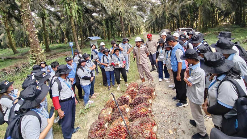 To Escalate Palm Oil Quality in Central Sulawesi Province, 54 Smallholders from Regency of Morut Joined Palm Oil HR Training