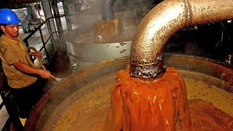 Palm Oil Market Opportunities in Oman's HORECA Sector Widen