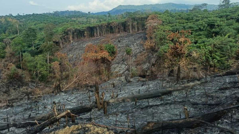 Indragiri Hulu Police Uncovers Forest and Land Fire Case in Riau