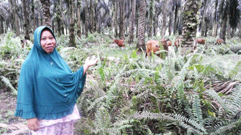 Suratmi: Nurturing Hope in the Palm Oil Fields