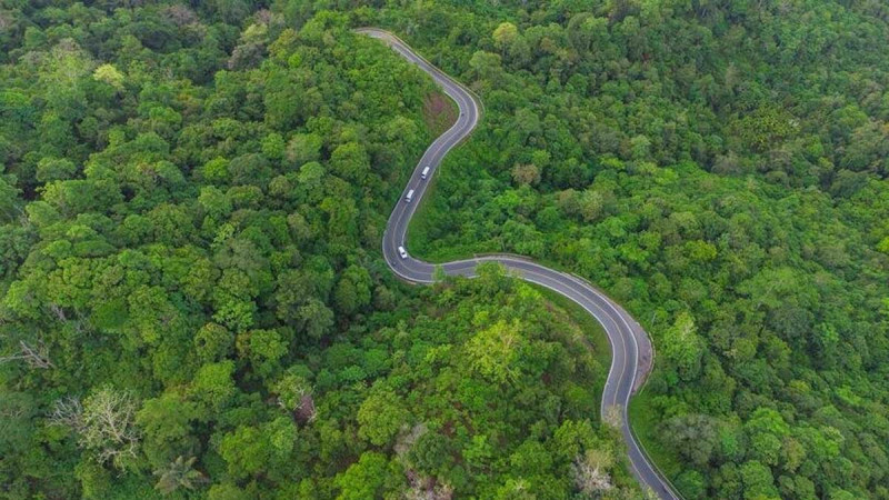 Forestry Law Politics: Sadino Urges State to Respect Land Rights in Forest Area Regulation
