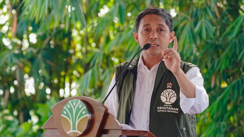 Minister of Forestry Reveals Corporate Modus Operandi Using Community Names in Conservation Areas, Illegal Palm Oil Enforcement Continues in Tesso Nilo