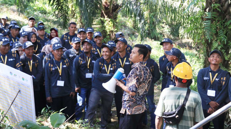 88 Aceh Farmers Trained to Become Modern, Quality, and Environmentally Friendly Palm Oil Growers