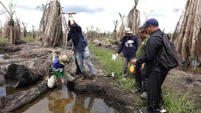 Environmental Law Enforcement Victory: PT Banyu Kahuripan Indonesia Fined Rp282 Billion for Environmental Lawsuit