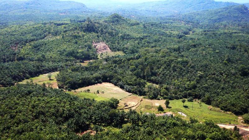 Concerns Arise Over Military Approach in Forest Area Regulation