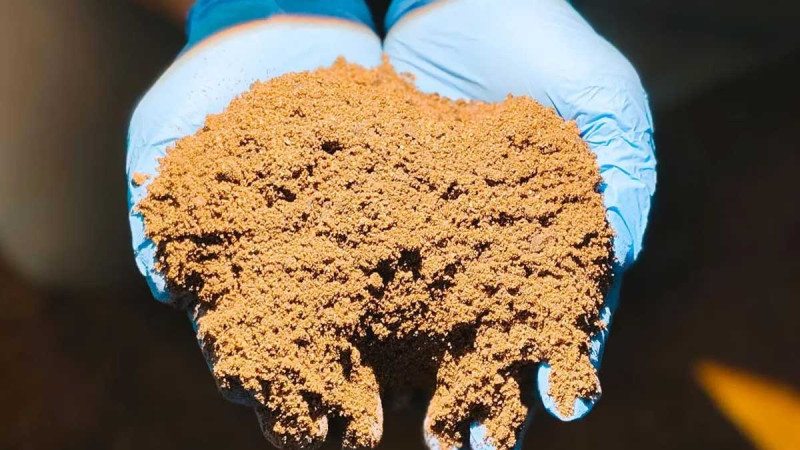 Lampung Ships 14,000 Tons of Palm Kernel Expeller to New Zealand, Generating Rp20 Billion in Export Value