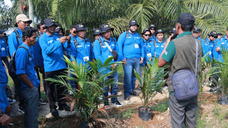 101 OKI Smallholders Complete IPB Training to Boost Sustainable Palm Oil Productivity