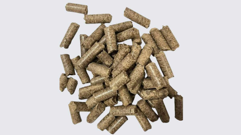 University of Lampung and South Korea's Naysor Develop Low-Ash Palm Biomass Pellets for Green Energy