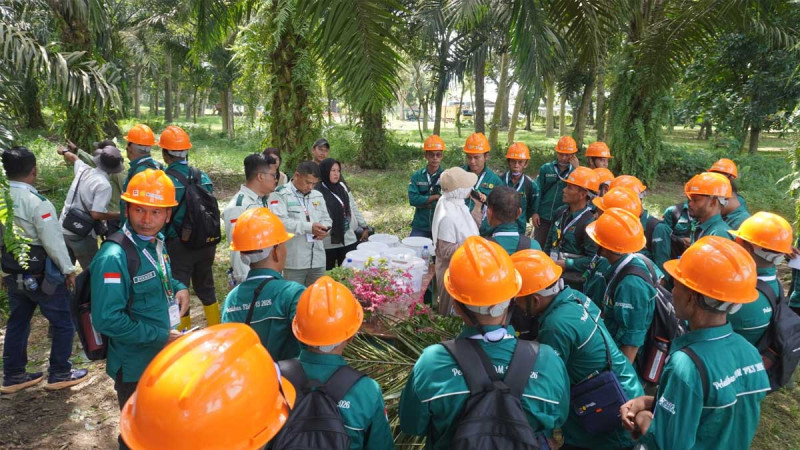 93 Independent Smallholders from Aceh Singkil Complete BPDP Human Resource Development Training to Boost Sustainable Palm Oil Productivity