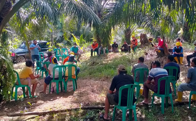 Palm Oil Smallholders Must Capture More Value Beyond Raw Commodities, Researcher Says