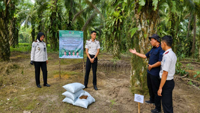 FABA Compost Trial Begins in Belitung Oil Palm Plantation, Offering Sustainable Fertilizer Alternative