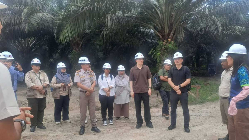 GACC Audit in Riau Strengthens Indonesia's Palm Oil Export Prospects to China