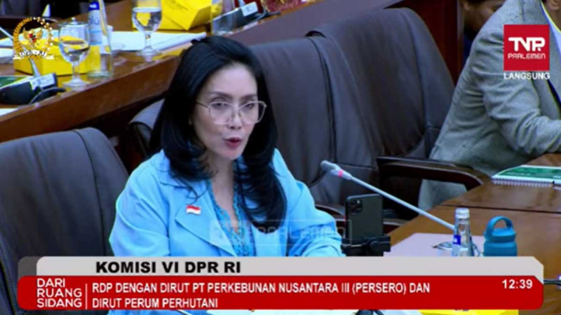 Member of Commission VI: the Fund in PFMA Was Dominant for Biodiesel: PTPN as the Widest Plantation Owner Did Not Maximally Get It