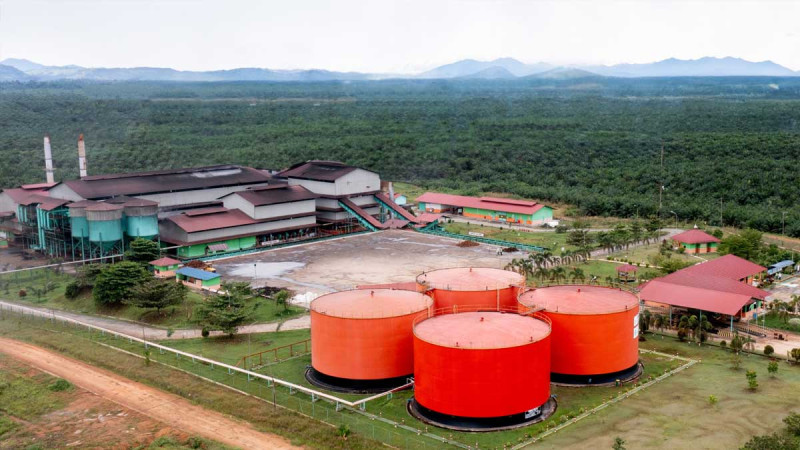 Bumitama Agri Remains Optimistic Amid Overlapping Regulations