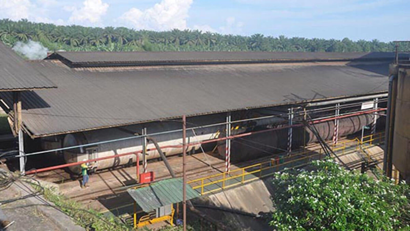 Reducing Palm Oil Mill Losses to 1 Percent: Expert Insights