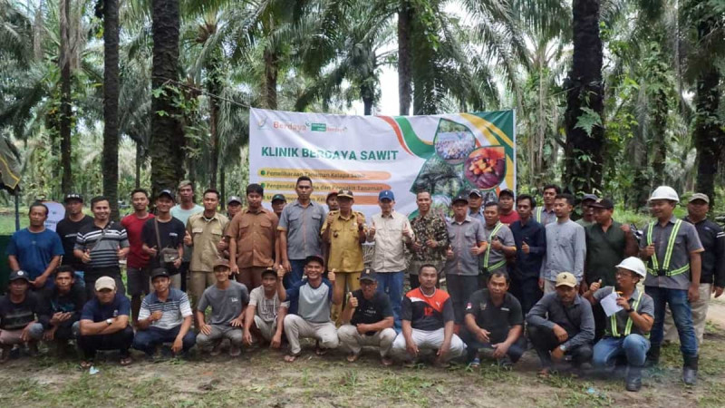 BGA Holds Palm Oil Empowerment Clinic, Supporting Independent Palm Oil Farmers to Increase Plantation Productivity in Ketapang