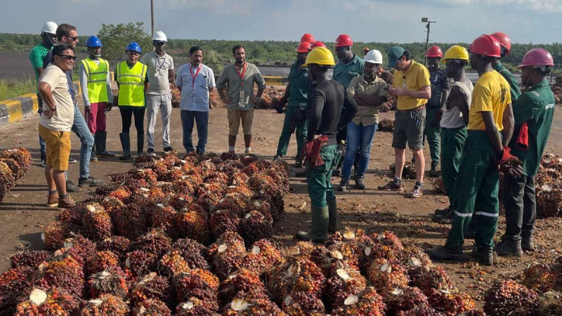 Toughness and Adaptability Key for Expatriate Palm Oil Planters in Africa