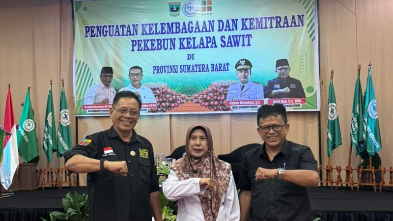 West Sumatra Government Prepares Regulation to Protect Palm Oil Farmers' Prices