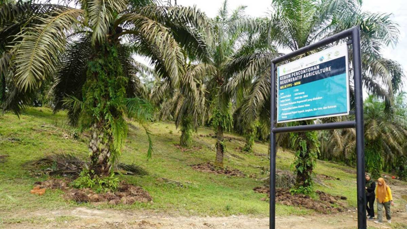 Palm Oil Export Levies Reach IDR 28 Trillion, Momentum to Drive Farmers Towards Sustainable Palm Oil
