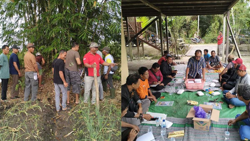 Empowering Farmers in Central Kalimantan Through Sustainable Palm Oil Practices