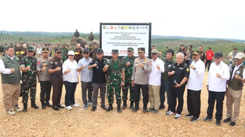 Task Force for Forest Area Management Urges Immediate Palm Oil Regulation
