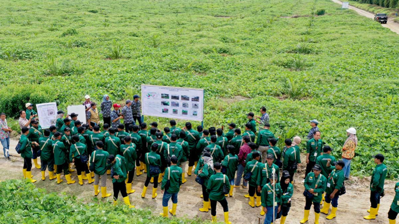 Training for Palm Oil Farmers in Batubara District, North Sumatra