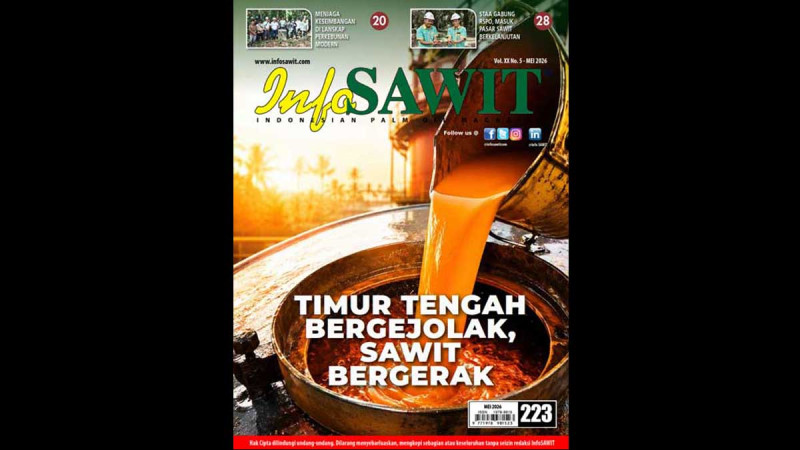 Palm Oil Amid Rising Global Conflict Tensions: Navigating a New Market Reality