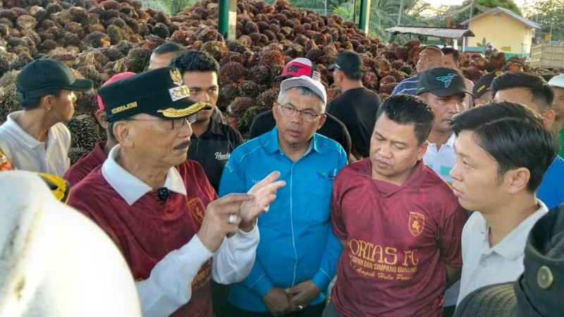 Pesisir Selatan Regent Inspects PT Kemilau Palm Oil Mill as Fresh Fruit Bunch Prices Draw Attention