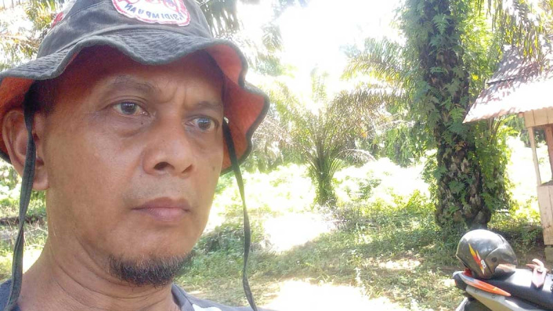 South Angkola Smallholders Demand Fair Palm Oil Pricing as FFB Remains at Rp2,550/kg