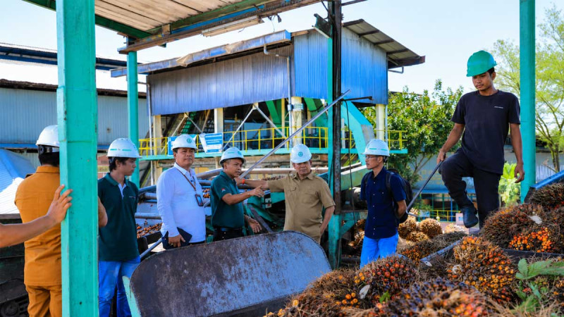 Rokan Hulu Deputy Regent Inspects Palm Oil Mills as Independent Smallholders Continue to Receive Lower FFB Prices