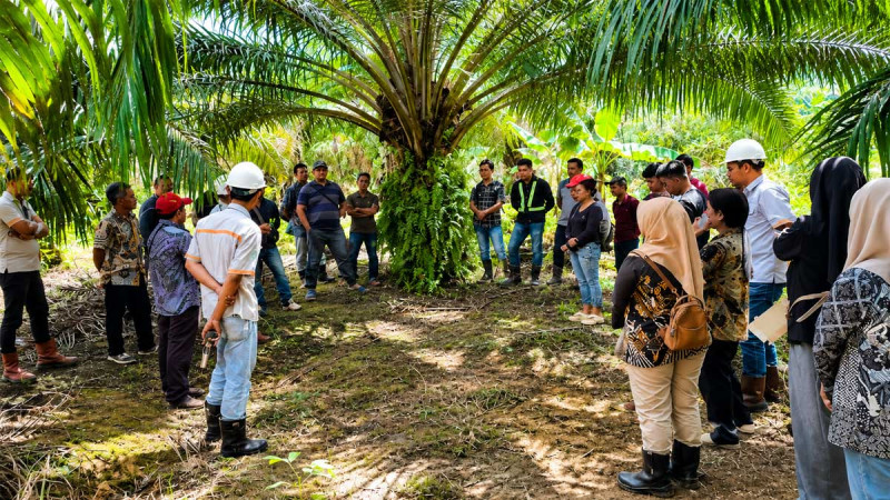 BGA Strengthens Independent Smallholder Capacity Through Sustainable Cultivation Training