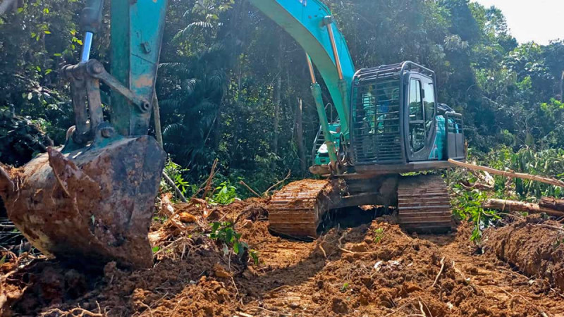 Kaoem Telapak Urges First Resources Unit to Halt Land Clearing in Muara Tae Amid Long-Running Indigenous Land Dispute
