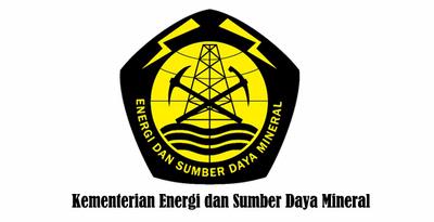 Ministry of EMR Runs New MIP VF