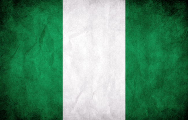 Palm Oil; One Kind of Nigerian Investment Promotion
