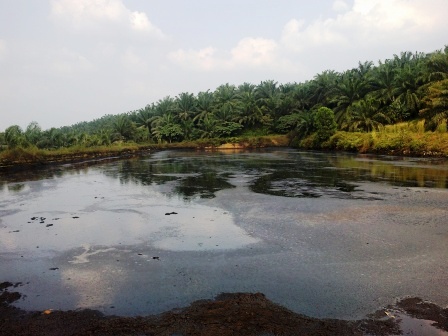 The People of Ujung Tanah Complain the Palm Oil Waste