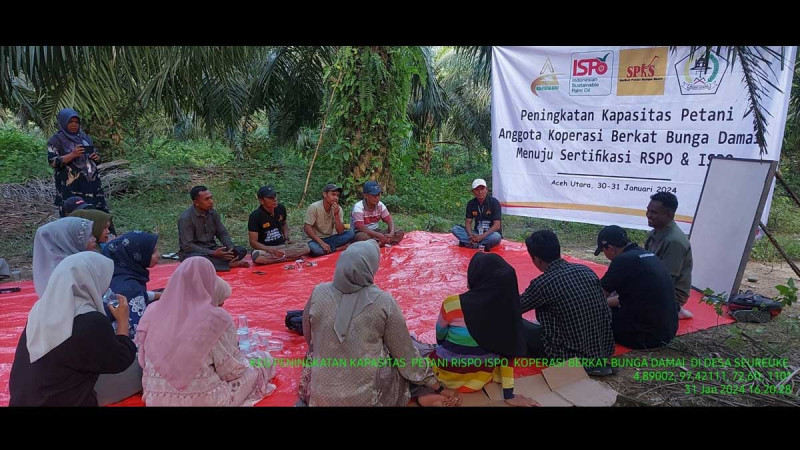 Koperasi Berkat Bunga Damai Cotgirek North Aceh Escalated Smallholders’ Capacity heading to RSPO and ISPO Certification Process