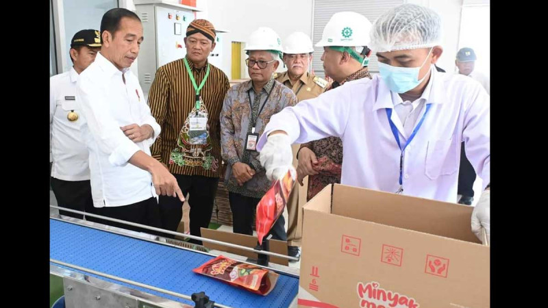 Red Palm Cooking Oil: Produces Better Nutrients