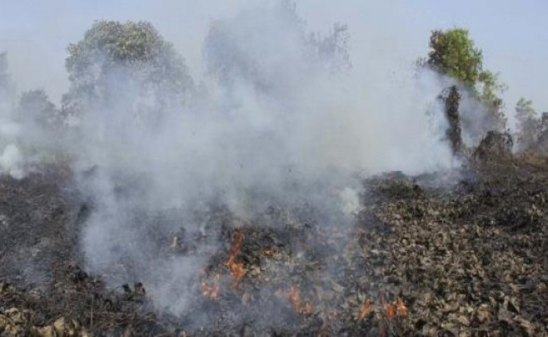 Team Successfully Extinguished the Fire in Pelalawan, Riau
