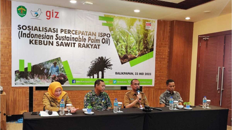 East Kalimantan Plantation Agency Encouraged Smallholders’ Plantations to Adopt ISPO