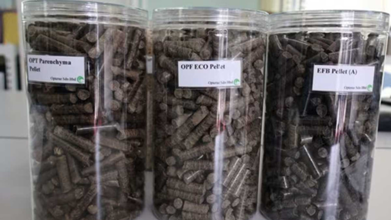 Japan – Malaysia: Conducted the Same Research to Change Palm Oil Wastes to be the Sources of Renewable Energy