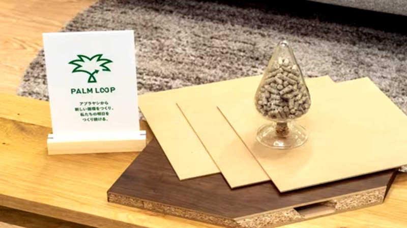 Panasonic: Changes Palm Oil Tree to be Qualified Furniture