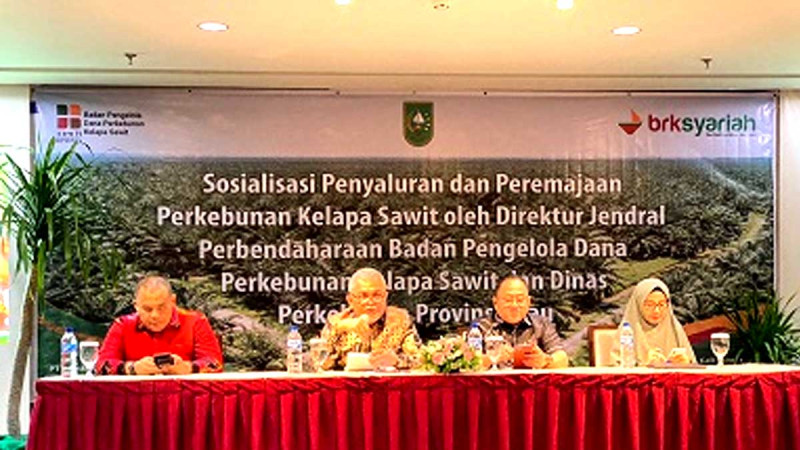 By April 2024, Bank Riau Kepri Syariah Distributed SRP Fund for 353 Smallholders