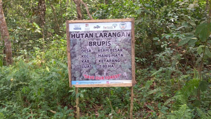 FORTASBI and BenihBaik Raise Funds for Forest Conservation in Ketapang