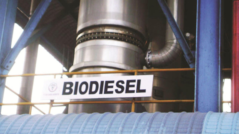 Increase in CPO Export Levy Seen as Fiscal Instrument for Biodiesel Energy Transition