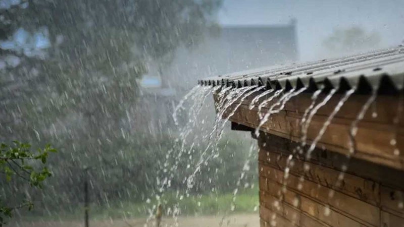 Early Monsoon Rains Bring Hope for Abundant Harvests in India