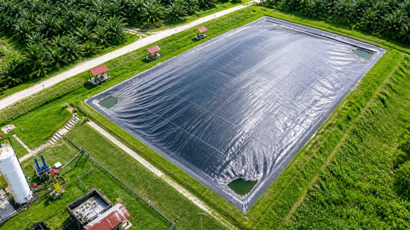 PalmCo Converts Palm Oil Waste Into Clean Energy, Saving Millions of Liters of Diesel