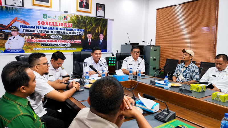 Bengkalis Targets 300 Hectares in 2026 Smallholders Replanting Drive